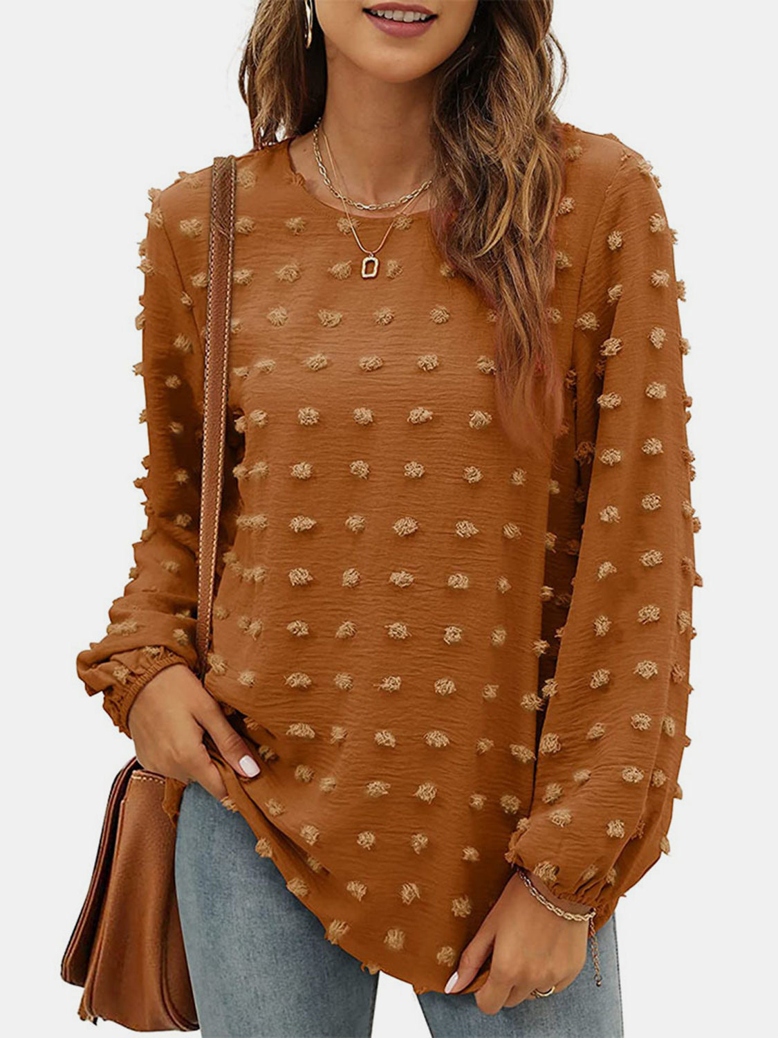 Swiss Dot Round Neck Long Sleeve Blouse